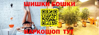мдпв Славгород