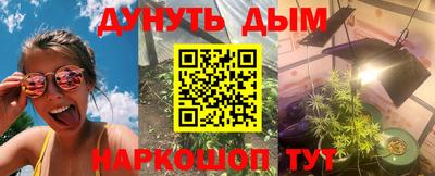 мдпв Славгород