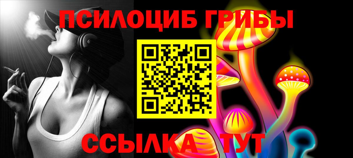 Протвино  Псилоцибиновые грибы Cubensis  наркотики  Вход с VPN  Псилоцибиновые грибы Psilocybine cubensis 